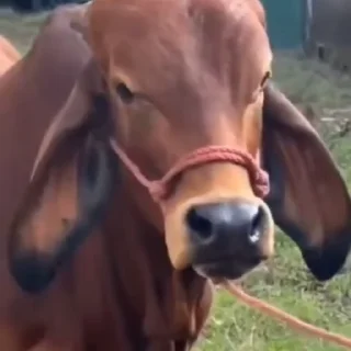 🤨