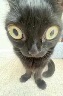 😳
