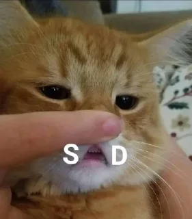 😢