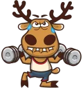 💪