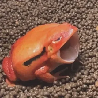 🥱
