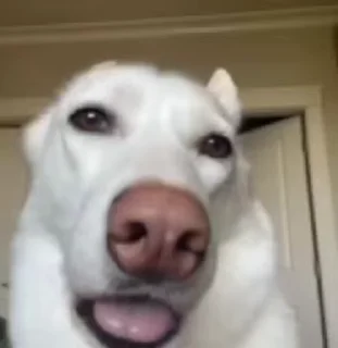 😒