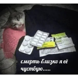 😺