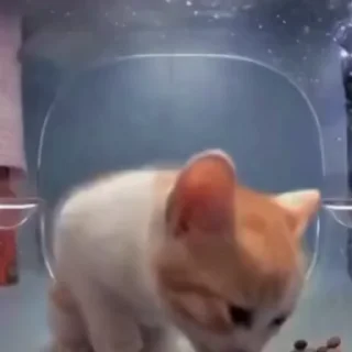 😱