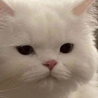 😕