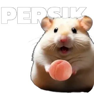 🐹