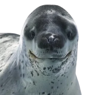 🙂