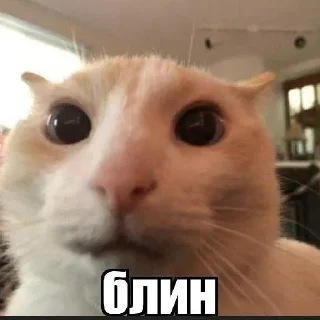 😞