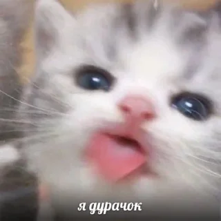 🤡