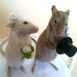 💍