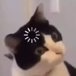 🤨