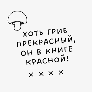 🍄
