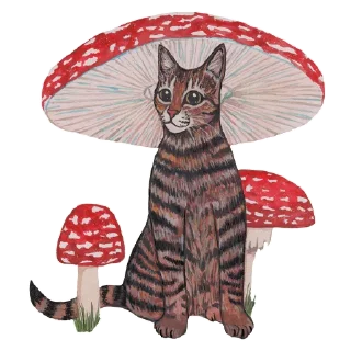 🍄