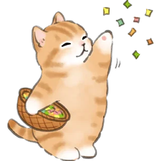🎉