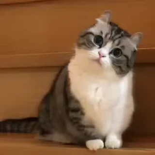 🤞
