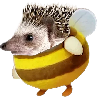 🦔