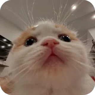 👀