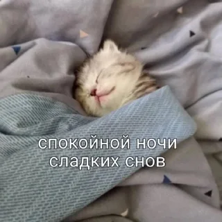 🛏️