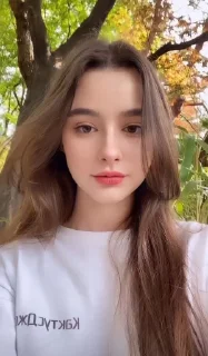 🦋