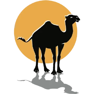 🐪