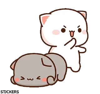 😾