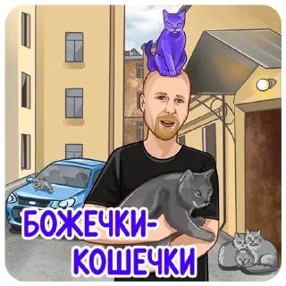 🙀