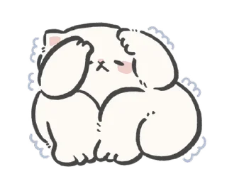 🐱