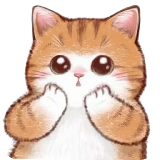 🐱