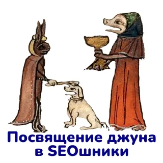 🎓