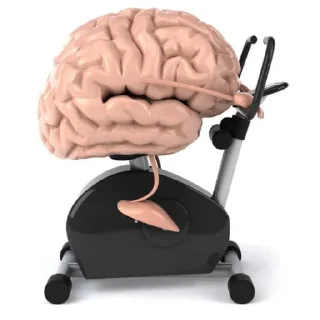 🧠