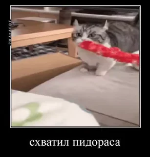 😋