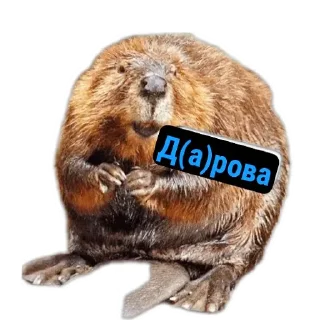 Бобры Милашки @MoiStikiBot