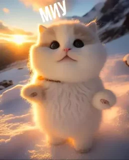 😻