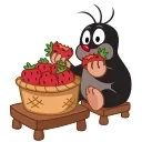 🍓