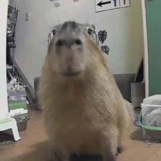 😐