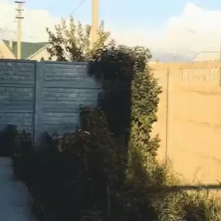 🧐
