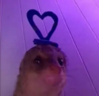 💗