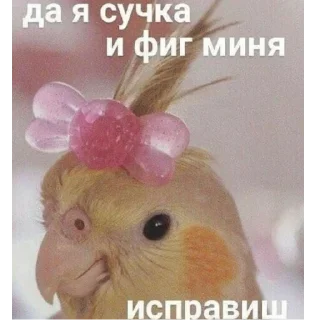 😎