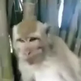 😂