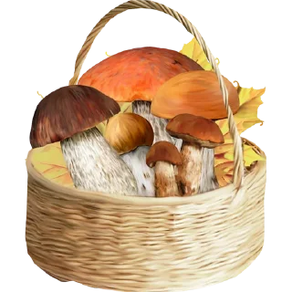 🍄