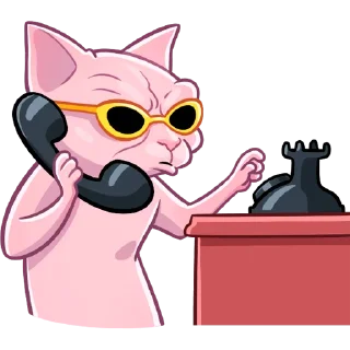 📞