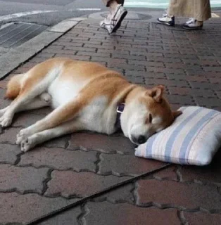😴