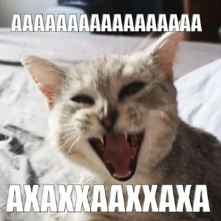 😆