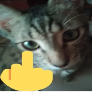🤬