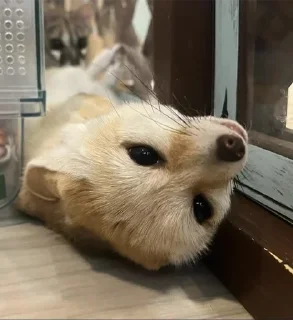 🙃