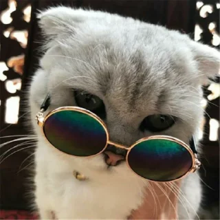 🌚