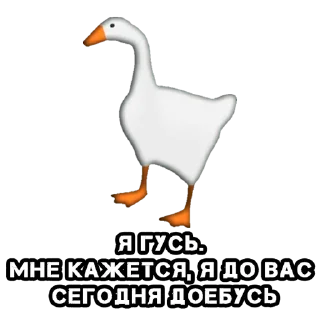😎