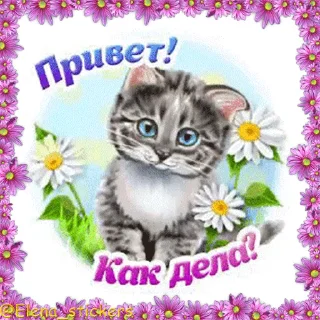 😸