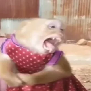 😝