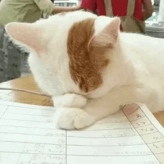 😑